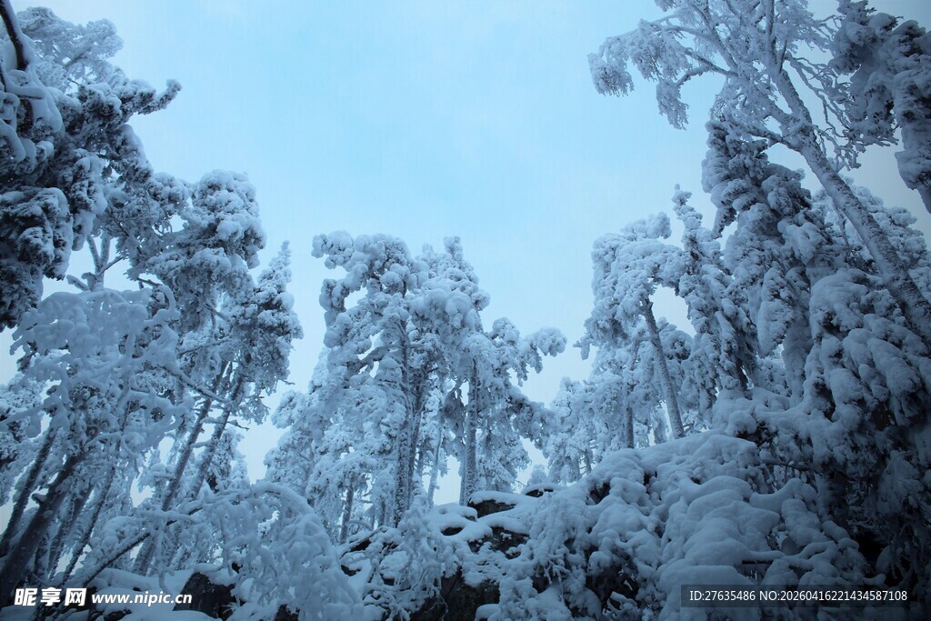 雪覆山林美景