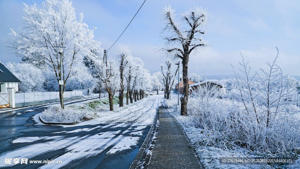 冬日雪景中的宁静小路