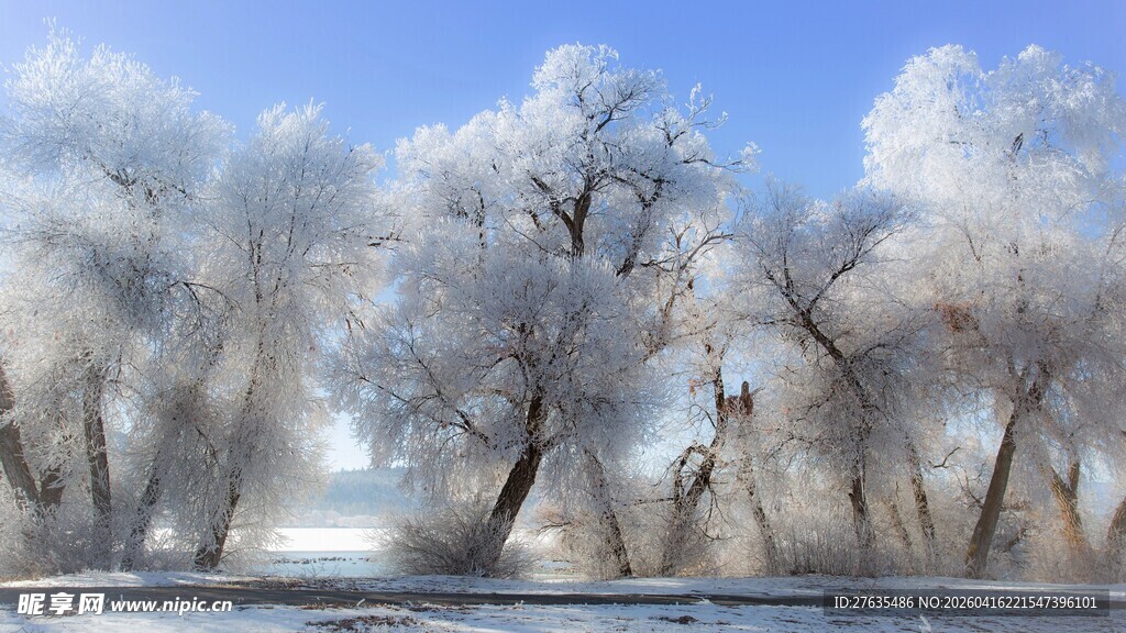 冬日雾凇景观
