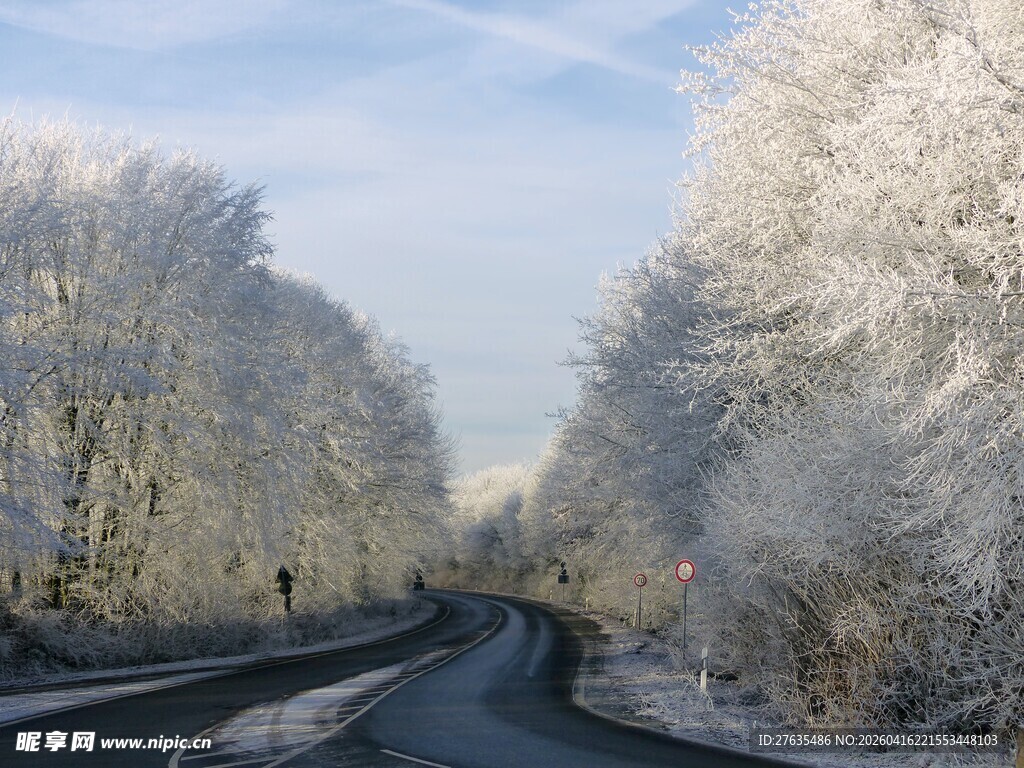 冬日雪覆林间蜿蜒小路