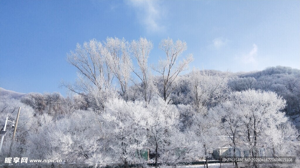 冬日雪覆山林美景