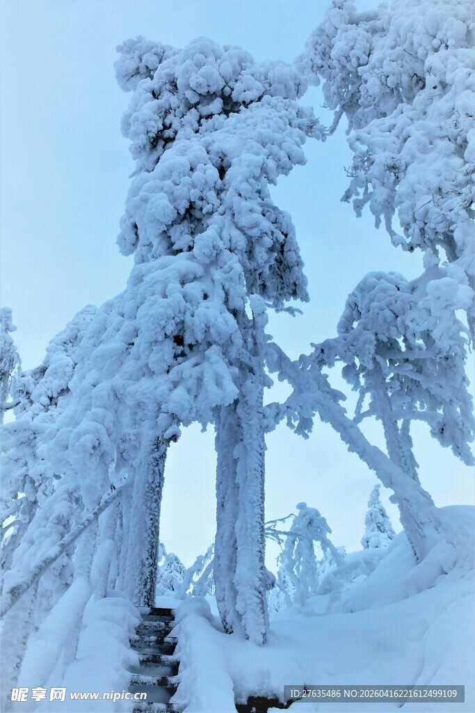 雪覆山林美景