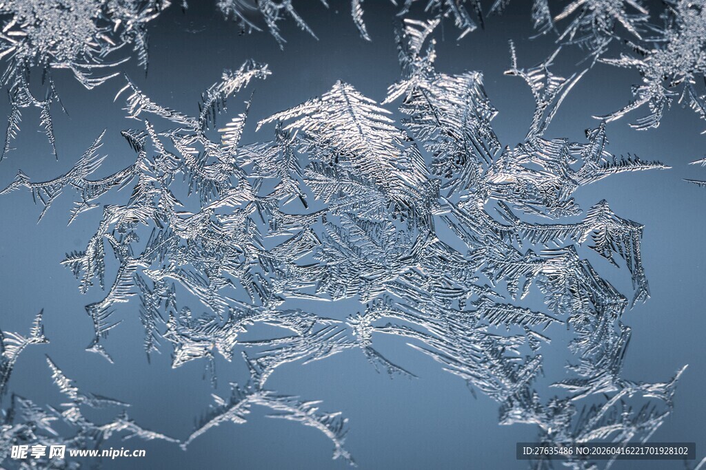 窗上绝美冰花纹理特写