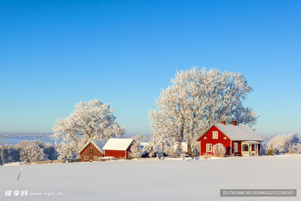 冬日雪景中的红顶农舍