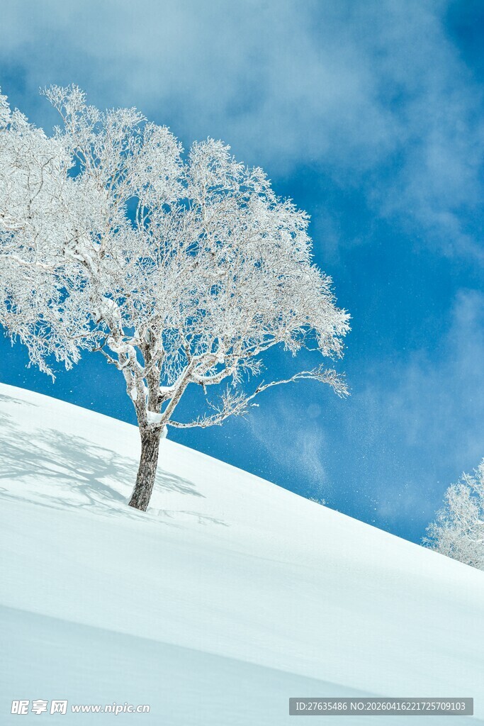 雪岭孤树