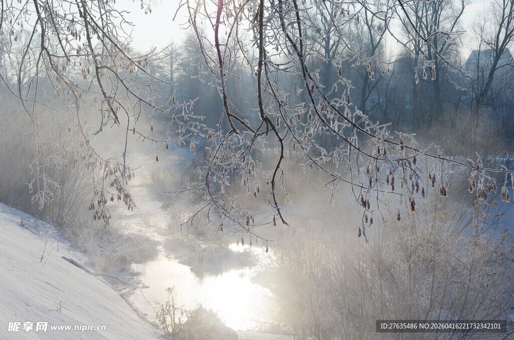 冬日雪林晨光美景