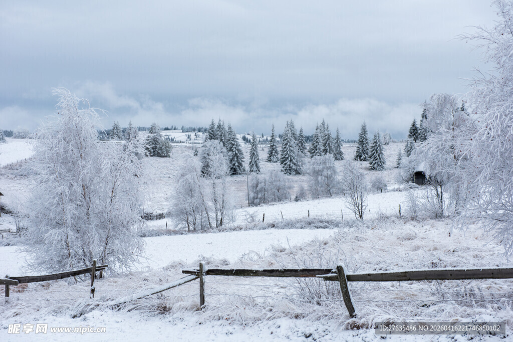 冬日雪景中的静谧乡村风光