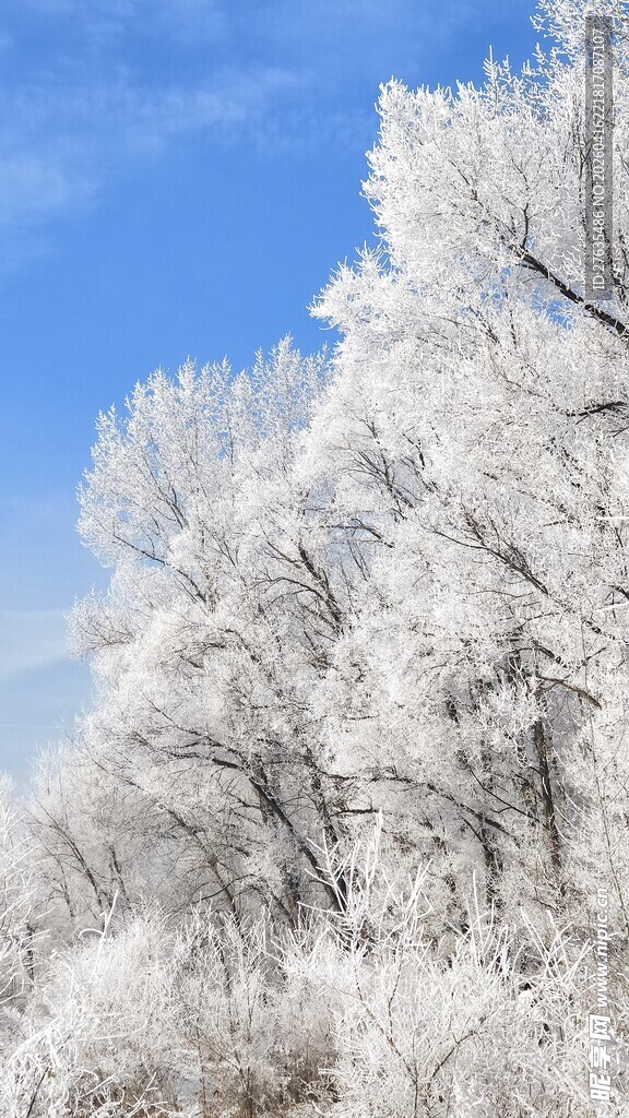 冬日雾凇美景