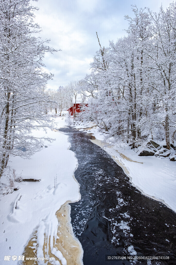 冬日雪覆河流旁的静谧景象