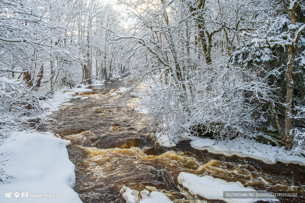 冬日雪覆溪流林间美景