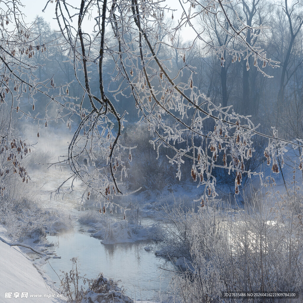 冬日雾凇覆盖的静谧溪流