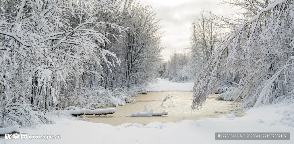 冬日雪景中的静谧林间小道
