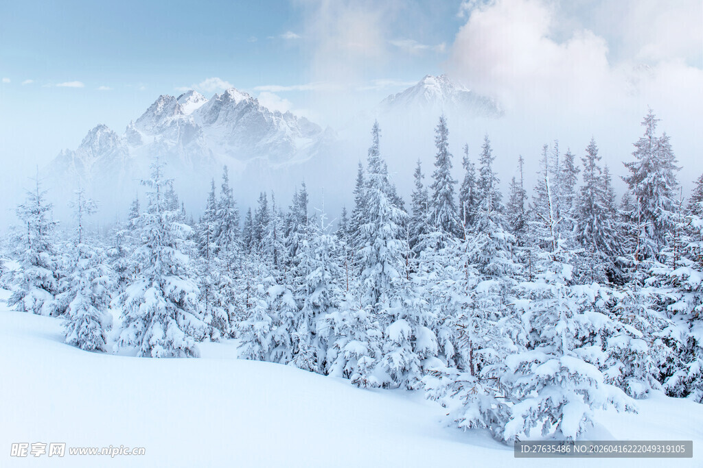 冬日雪覆山林美景