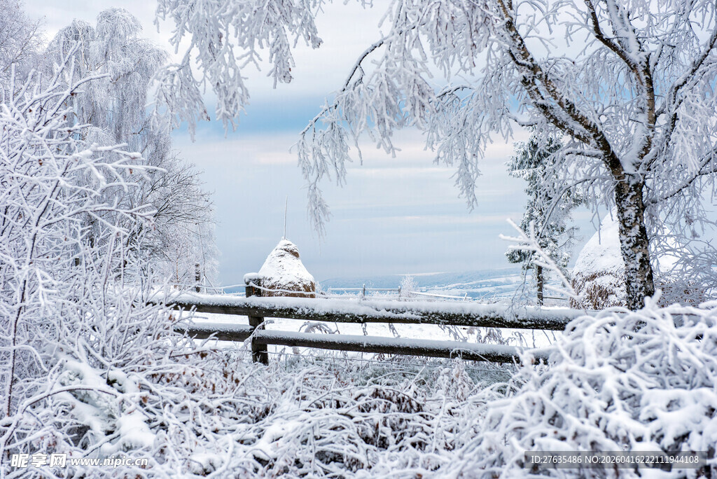 冬日雪景中的木栏与覆雪树