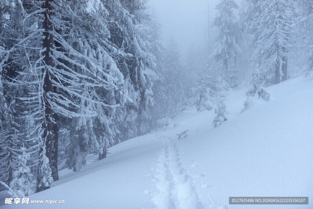 雪覆山林中的蜿蜒雪径