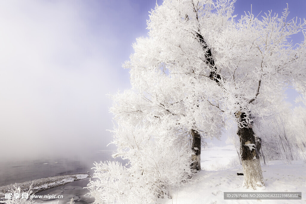 冬日雾凇美景