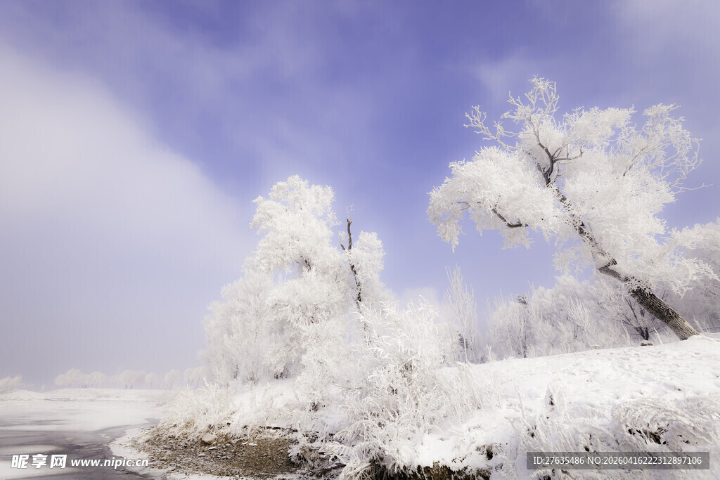 冬日雾凇美景