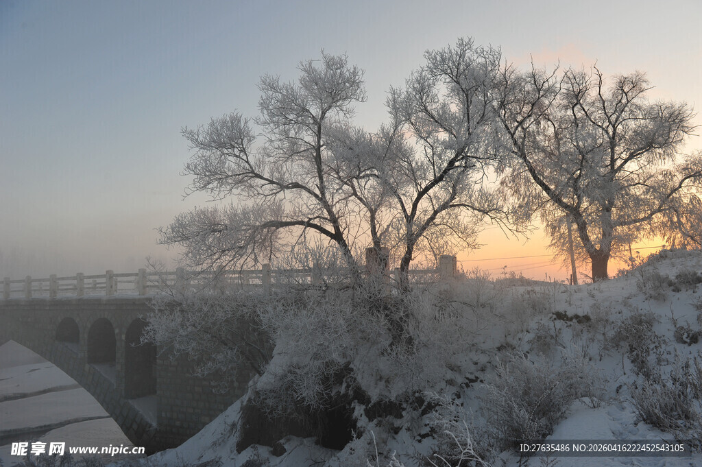 冬日雾凇美景