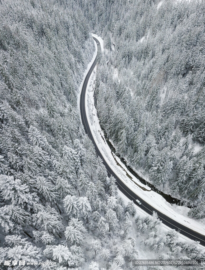 雪覆山林间的蜿蜒公路