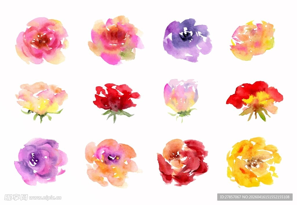 水彩花卉素材