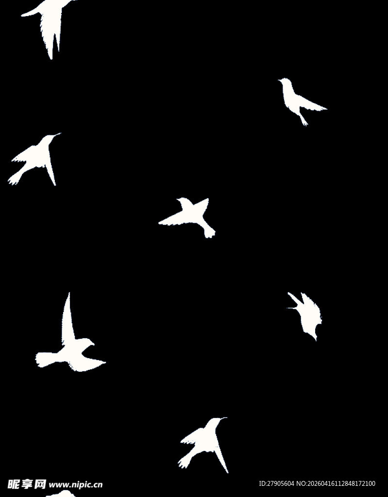 黑色背景上的白色飞鸟剪影