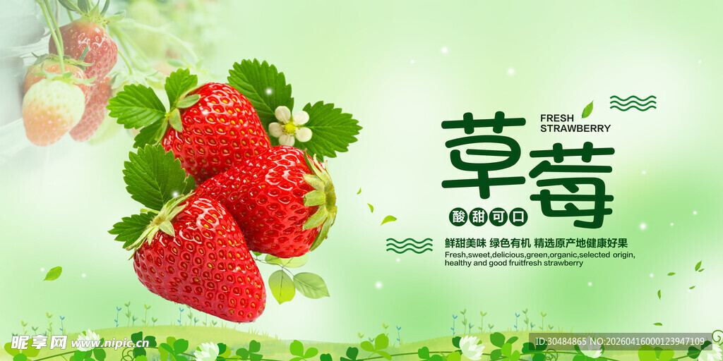 草莓展板