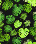 热带绿叶无缝图案背景