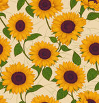 向日葵花卉图案背景图