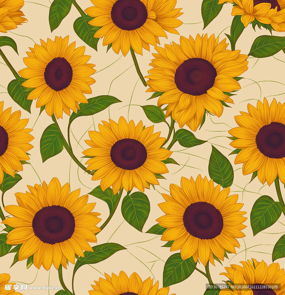 向日葵花卉图案背景图