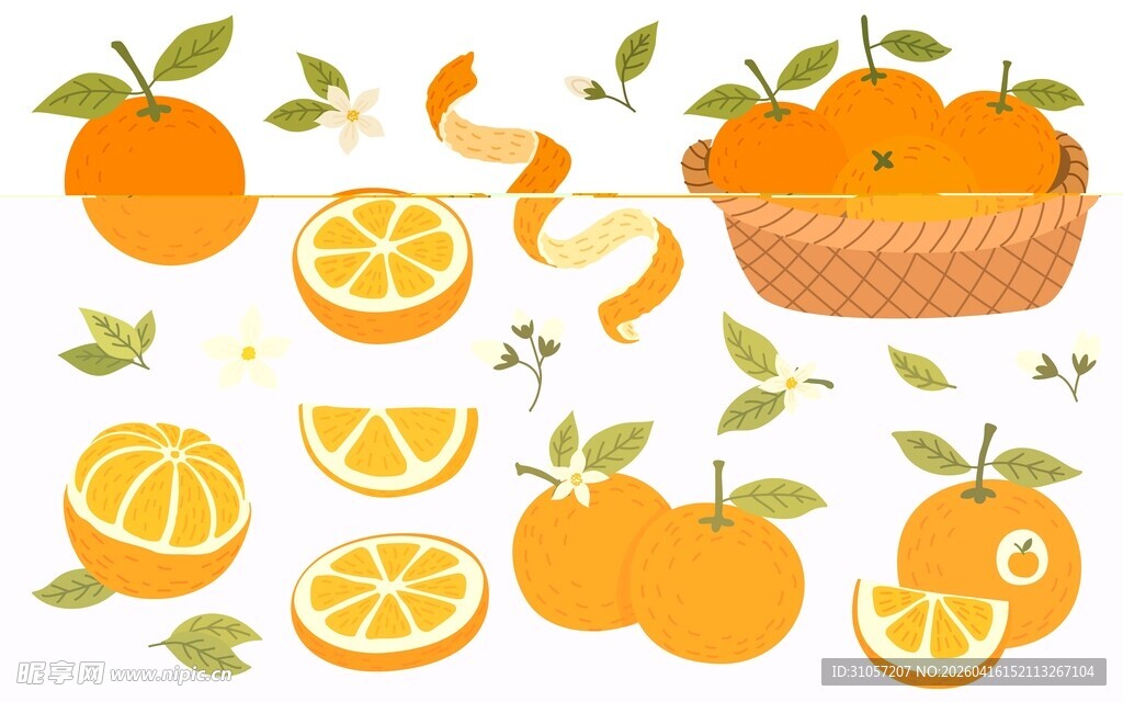 橙子贴纸素材