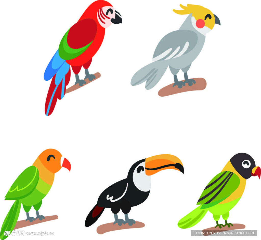 多彩鹦鹉鸟类素材集合