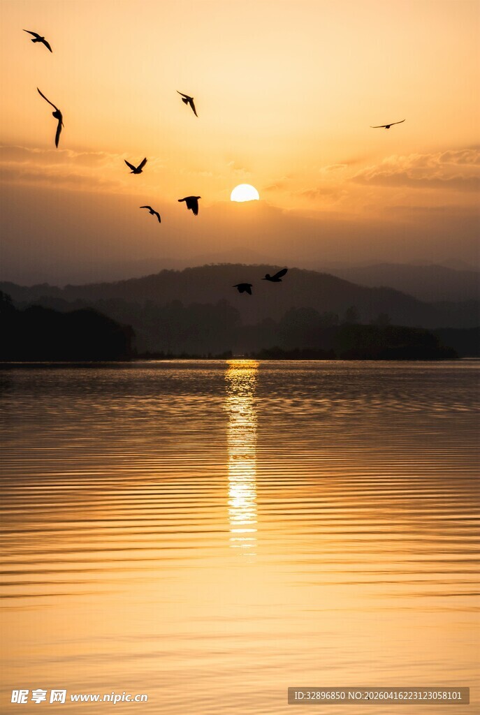 夕阳下飞鸟掠过平静湖面