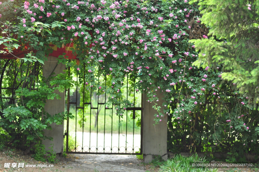 繁花簇拥的铁艺花园门