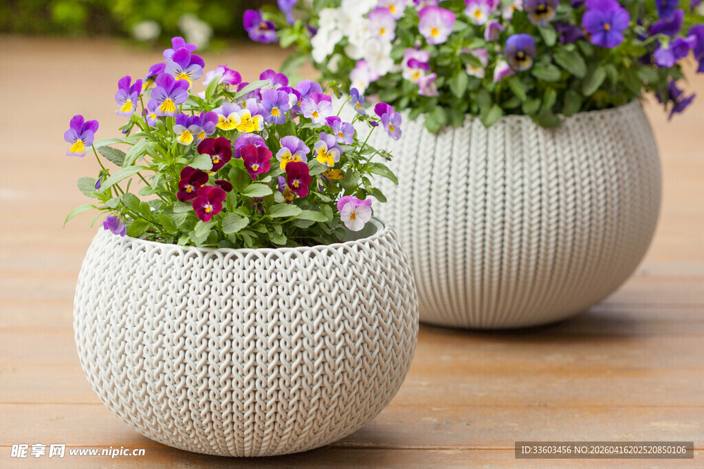编织花盆中的缤纷花卉