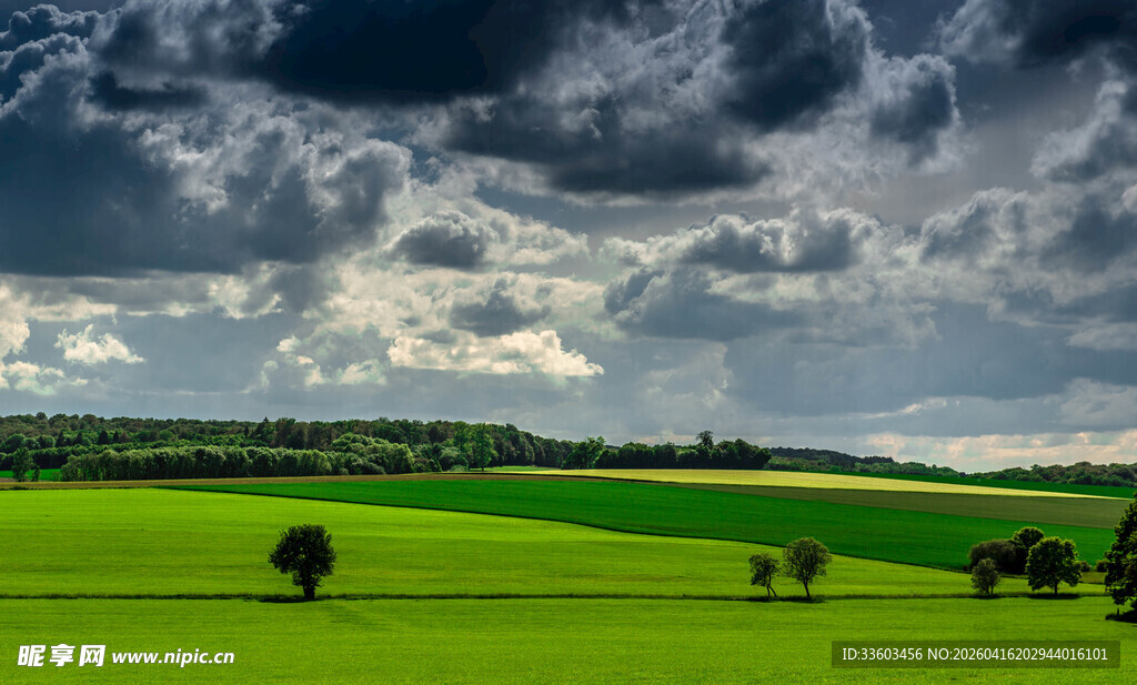 草原上的乌云与放牧美景