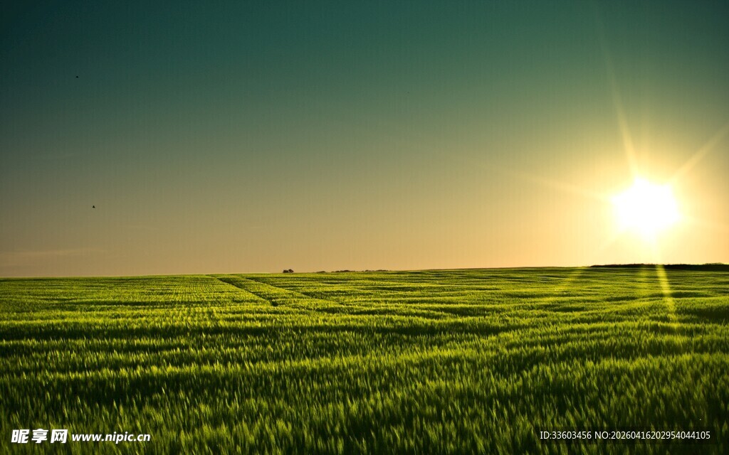 草原上的日出美景