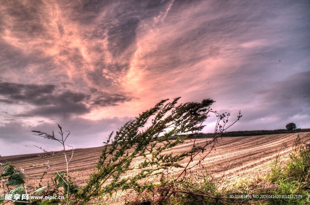 田野上空绚烂的云霞