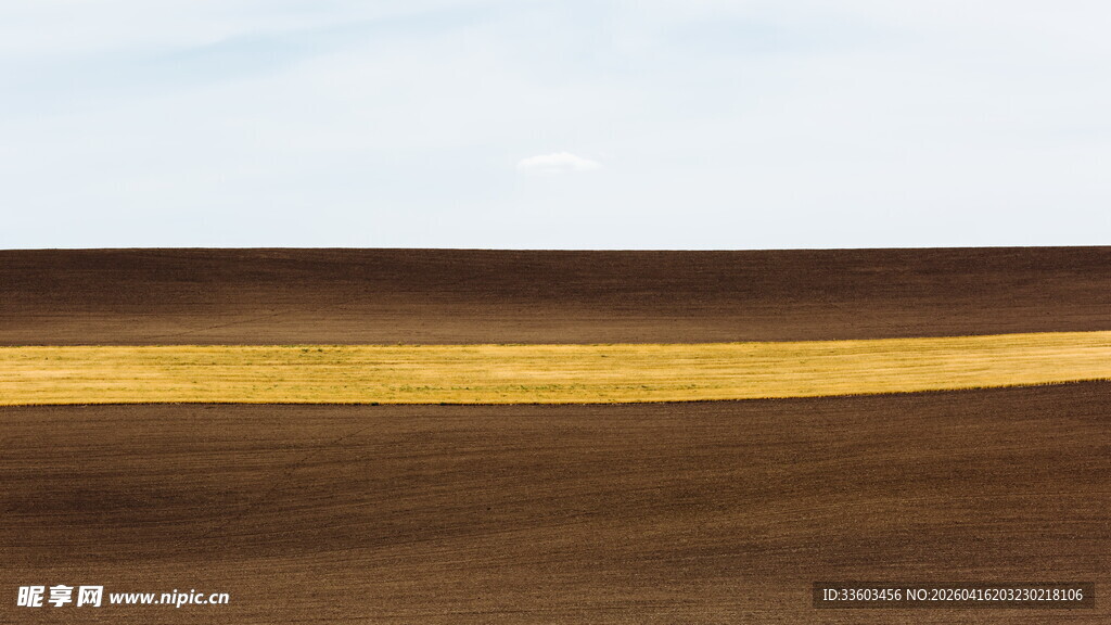 金黄田野与蓝天白云