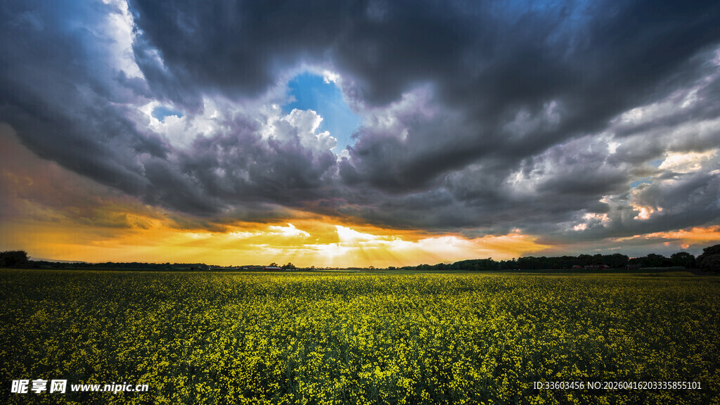 夕阳下的田野与乌云景观