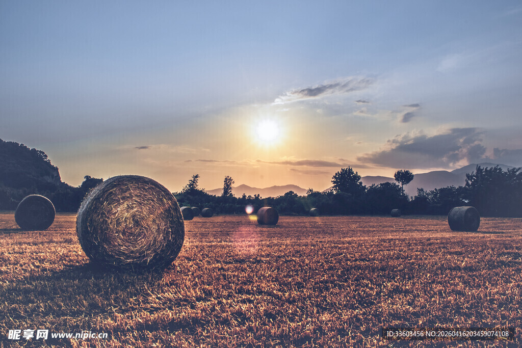 夕阳下的田野干草垛