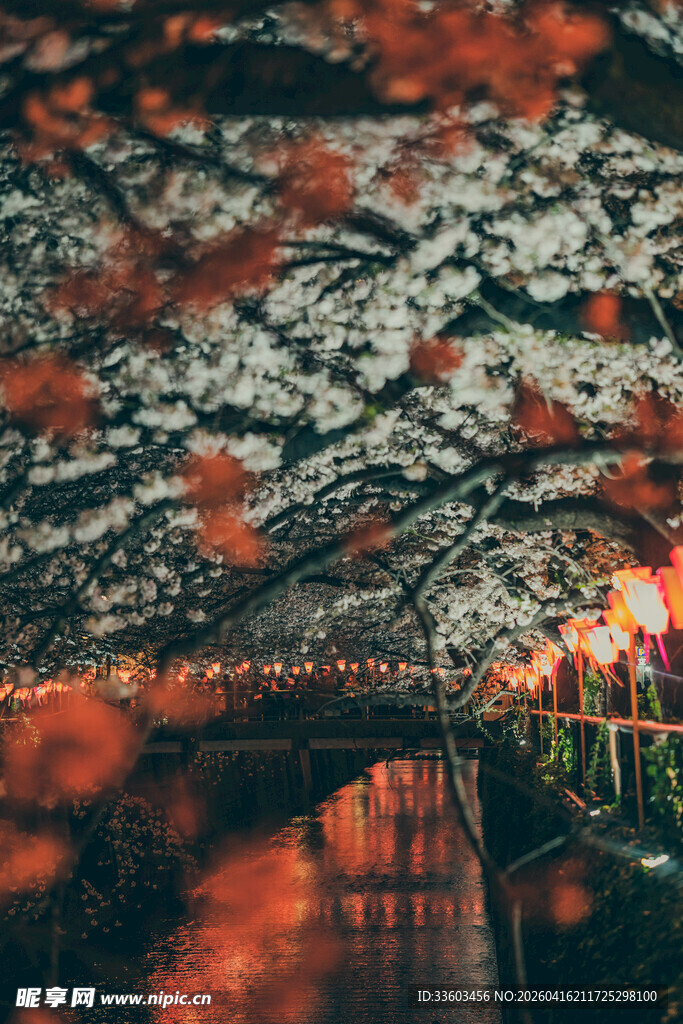 秋日红枫下的石板桥