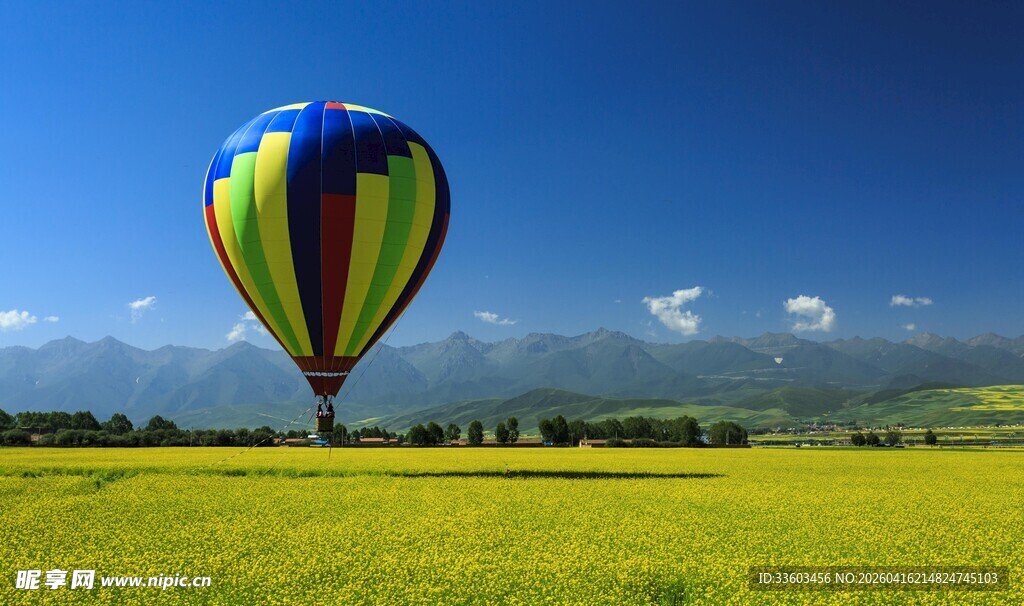 田野上的彩色热气球