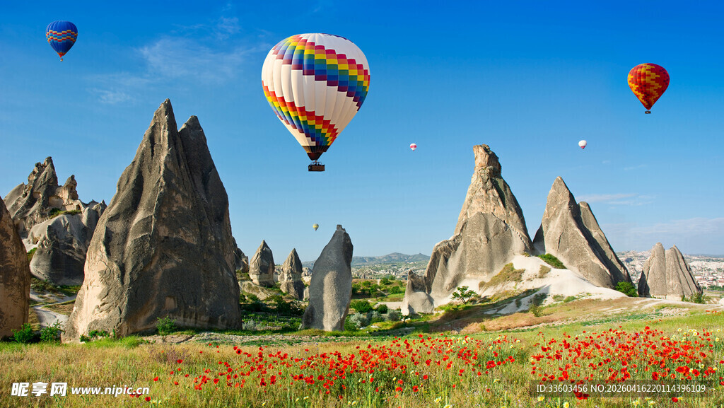 卡帕多西亚热气球与花海