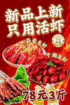 新品活虾小龙虾