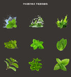 薄荷素材