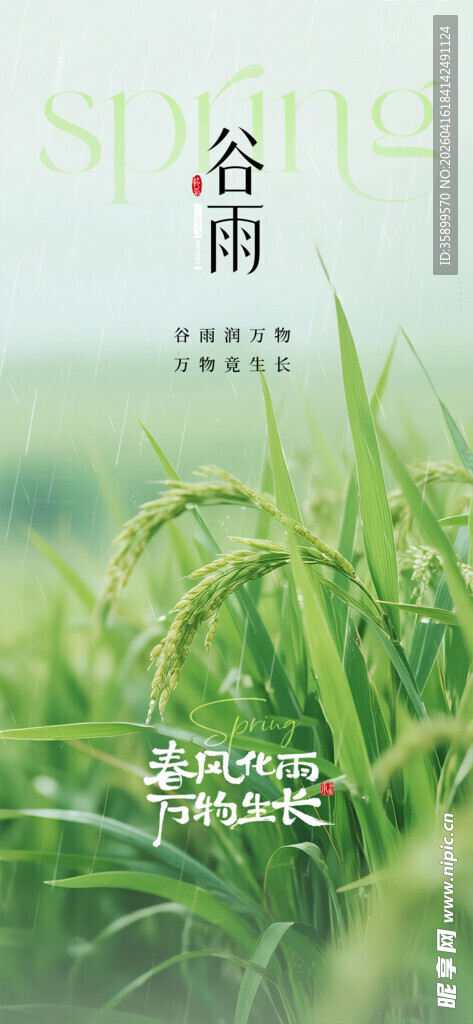 谷雨 