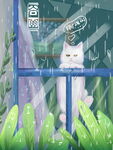 雨中猫咪趴在阳台护栏