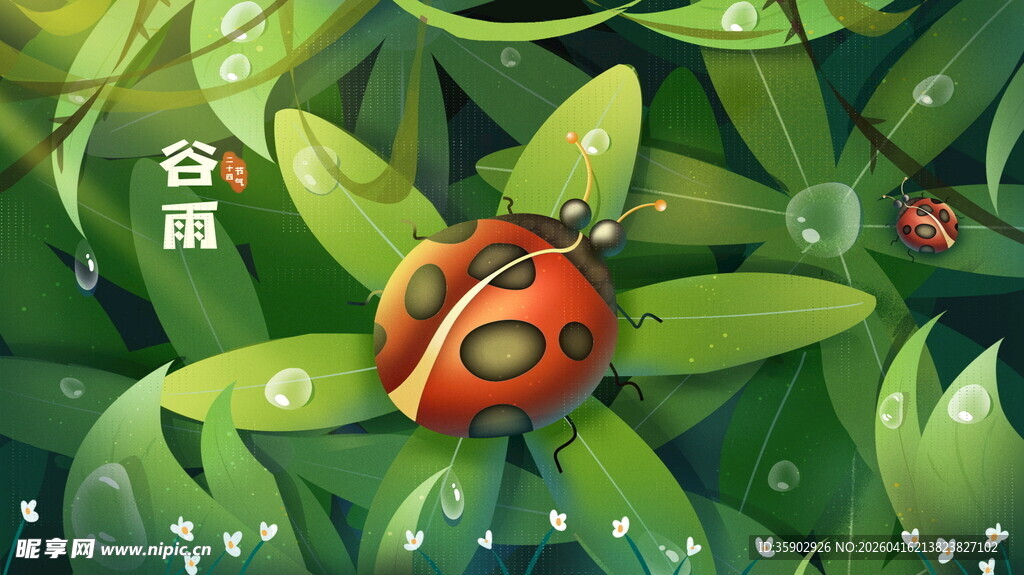 绿叶上的瓢虫与雨滴