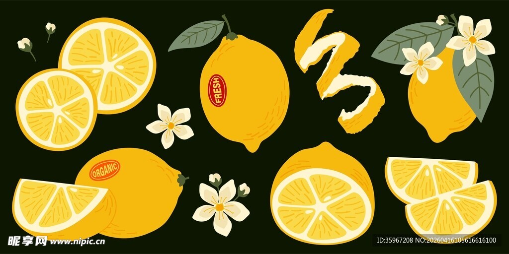 柠檬插画合集