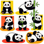 可爱熊猫多样姿态插画